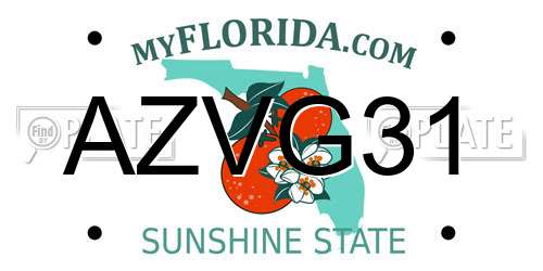 AZVG31 Florida License Plate