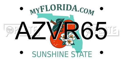 AZVR65 Florida License Plate
