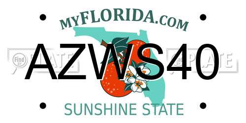 AZWS40 Florida License Plate