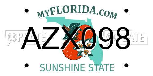 AZX098 Florida License Plate