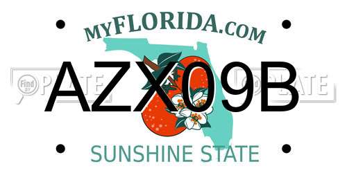AZX09B Florida License Plate
