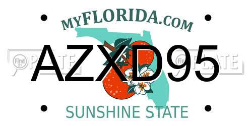 AZXD95 Florida License Plate