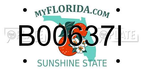 B00637I Florida License Plate