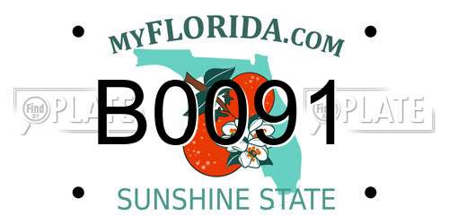 B0091 Florida License Plate