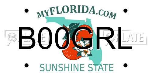 B00GRL Florida License Plate