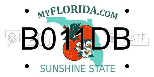 B011DB Florida License Plate