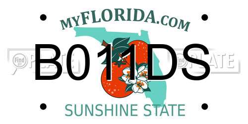 B011DS Florida License Plate