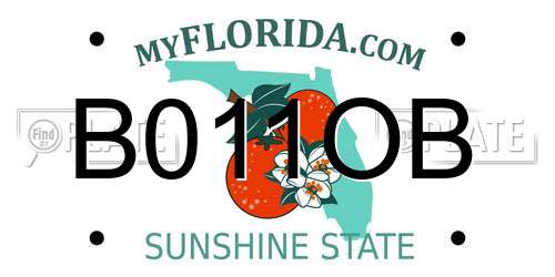 B011OB Florida License Plate