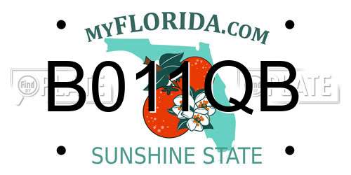 B011QB Florida License Plate