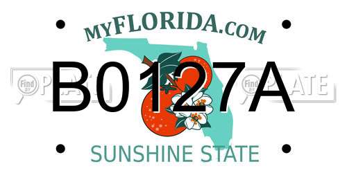 B0127A Florida License Plate