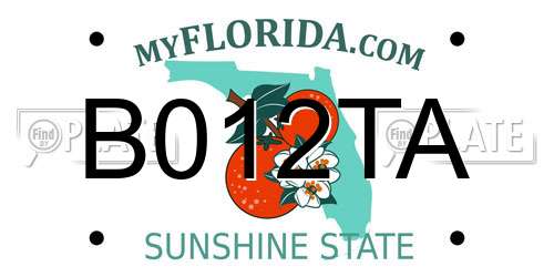 B012TA Florida License Plate