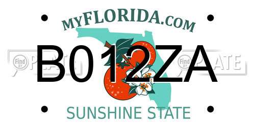 B012ZA Florida License Plate