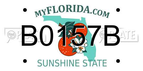 B0157B Florida License Plate