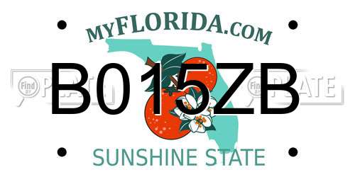 B015ZB Florida License Plate