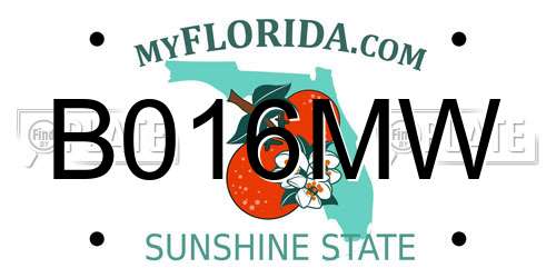 B016MW Florida License Plate