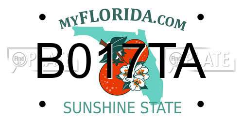 B017TA Florida License Plate