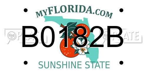 B0182B Florida License Plate