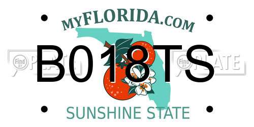 B018TS Florida License Plate