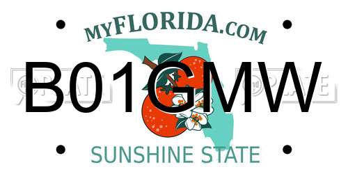 B01GMW Florida License Plate