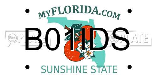 B01IDS Florida License Plate