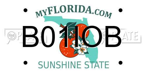 B01IOB Florida License Plate
