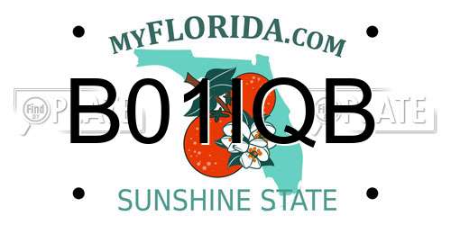 B01IQB Florida License Plate