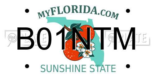 B01NTM Florida License Plate