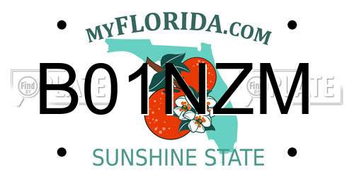 B01NZM Florida License Plate