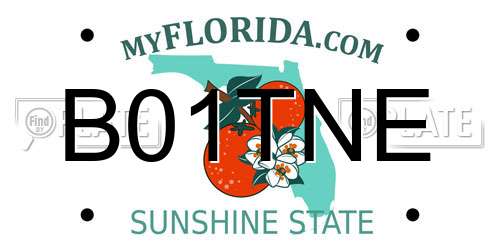 B01TNE Florida License Plate