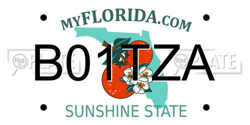B01TZA Florida License Plate