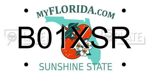 B01XSR Florida License Plate
