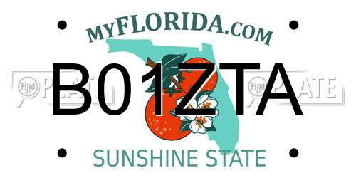 B01ZTA Florida License Plate