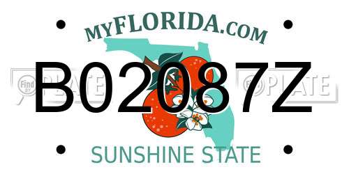 B02087Z Florida License Plate