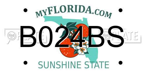 B024BS Florida License Plate