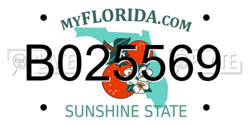 B025569 Florida License Plate
