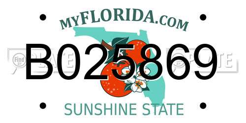 B025869 Florida License Plate