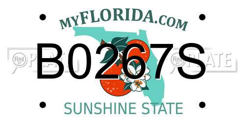 B0267S Florida License Plate