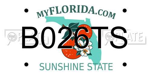 B026TS Florida License Plate
