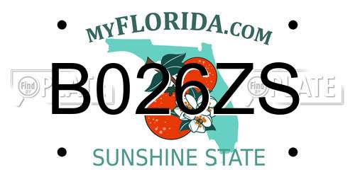 B026ZS Florida License Plate