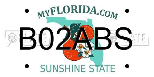B02ABS Florida License Plate