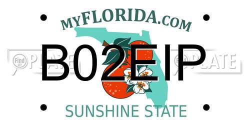 B02EIP Florida License Plate