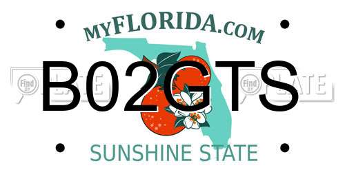B02GTS Florida License Plate