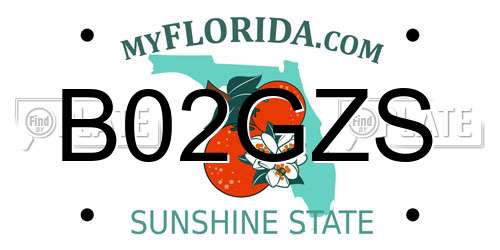 B02GZS Florida License Plate