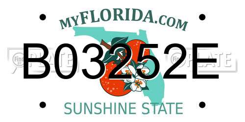 B03252E Florida License Plate