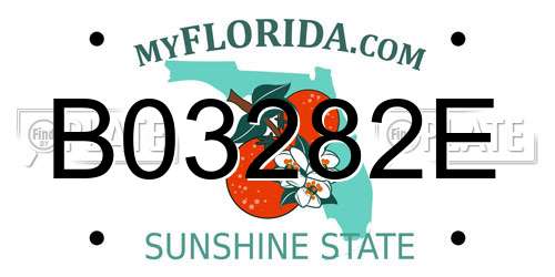B03282E Florida License Plate
