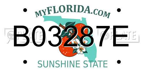B03287E Florida License Plate