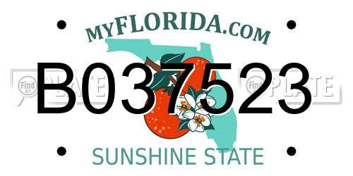 B037523 Florida License Plate
