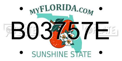 B03757E Florida License Plate