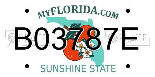 B03787E Florida License Plate