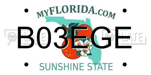 B03EGE Florida License Plate